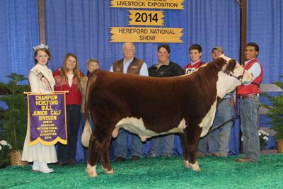 webassets/TNBTrustIssues109ETreserveNAILEspringBullcalfchampion.jpg